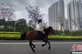 “街头策马奔腾”，已约谈教育图片