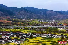 汉中油菜花开了！西安至西乡“赏花专列”开通，3小时抵达图片