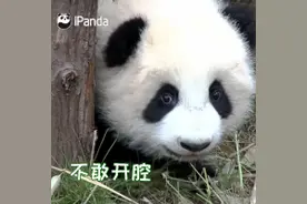 天府悦读 | 最扎劲的四川方言来啦！图片