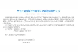 已经公示！武汉这个区3306位车主即将拿到购车补贴图片