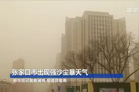 张家口市出现强沙尘暴天气视频封面