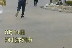 “咚”一声，新郎新娘全跑了……图片