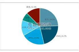 5G手机无奈变4G，努比亚“管杀不管埋”被指虚假宣传｜3·15科技观察图片