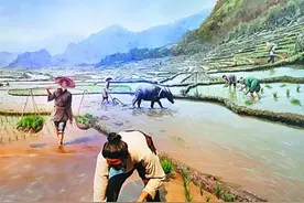 湖南长沙隆平水稻博物馆：在这里体验一株水稻的文化传承图片