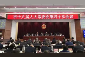 德州最新人事任免！李佳芮任德州市人民政府副市长图片