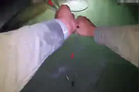 美国佛罗里达州一群渔民捕捉到一条大白鲨 随后将其放生图片