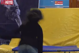 杨紫璇，你可太厉害了图片