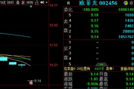 遭苹果“抛弃”，踩雷乐视和金立，欧菲光遭遇的那些“黑天鹅”丨时间线图片