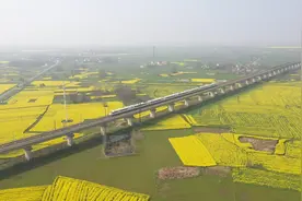 穿越花海 开往春天视频封面