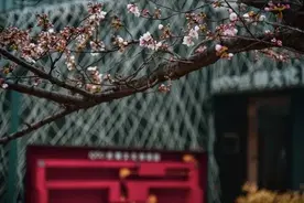 可以查成绩了！山东轻工职业学院单招综招拟录取公示图片