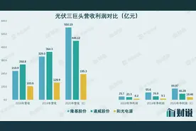 财说｜股价一个月下跌45%，阳光电源还有两场硬仗要打图片