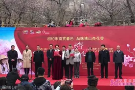 花开朱南“杏”好你来｜博山杏花节开幕图片
