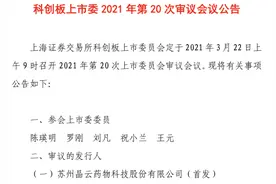 晶云药物上会难言乐观：主营天花板明显、销售薪酬近研发7倍图片