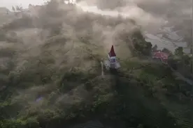 贵州万亩“欧标茶”开始采收 茶旅一体化助推农民增收图片