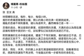 杨丽菁发文悼念刘真去世一周年，今后踏出每一步都有你在图片