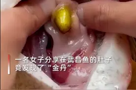 武汉一女子在鱼肚子里发现“金丹”，画面曝光后网友们不淡定了图片