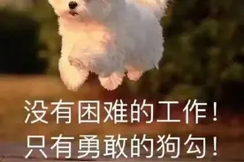 烟台版生僻字地名考试来啦～你能坚持到第几题？图片