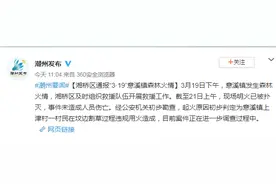 广东潮州通报意溪镇森林火情：未造成人员伤亡，起火原因初步判定为村民在坟边割草过程中违规用火图片