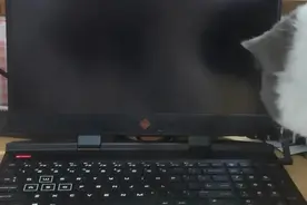 竞价20000多次，二手笔记本电脑卖到近100亿元图片