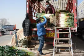 大葱价格明显下降，预计4月有望降到3.5元/斤图片