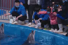 120秒｜欧乐堡“托儿所”开班啦！ 海豚 白狮 袋鼠众萌宠欢乐齐亮相视频封面