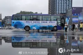 往返99元！贵阳公交推出百里杜鹃景区直通车图片