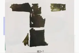 新疆棉花的前世今生图片