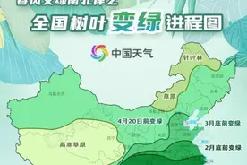 春来早！全国树叶变绿地图出炉 北方大部绿叶提前“报到”图片