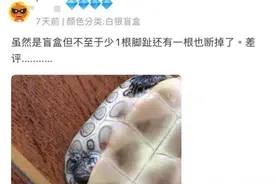 网上售卖“乌龟盲盒”，卖家称“不退不换、不能晒图”，快递为何能寄活物？图片