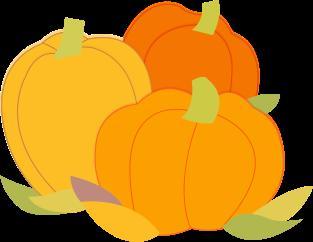 美食｜吃货看过来，菠萝的这些吃法你知道吗