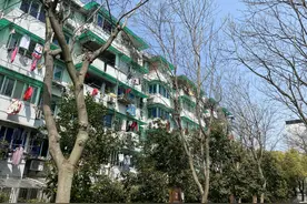 两周成交38套！杭州朝晖六区二手房因拆迁传闻爆火，事实真的是这样吗？图片