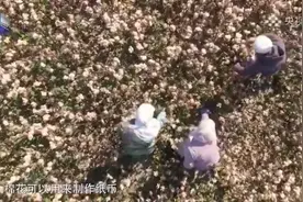 厉害了，棉花！原来，除了纺织品，棉花还可以做人民币、护肤品……图片