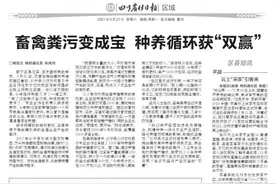 茜草街道打造泸州高品质城区图片