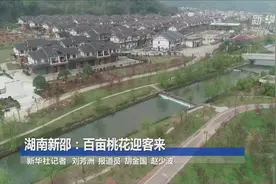 湖南新邵：百亩桃花迎客来视频封面