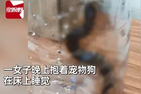 外国女子抱爱犬睡觉听到它反复狂吠，惊醒后开灯一看吓出冷汗只觉后怕图片