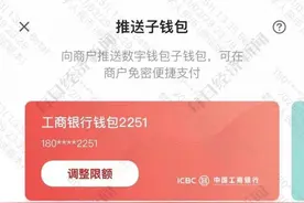 快递巨头加入数字人民币场景！顺丰现身数字人民币APP“推送子钱包”页面图片