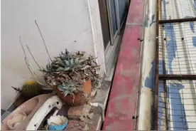 漳州龙海两座房建成十年后靠在一起 雨水滴落引发邻里纠纷图片