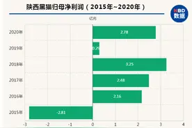 年报资本论〡陕西黑猫“变形记”图片
