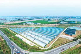 人民日报关注“蔬菜之乡”寿光：老菜农用上了“新农具”图片