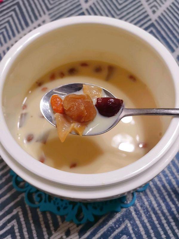 喝牛奶可以吃花胶 2026年牛奶可以和花胶一起吃吗 喝牛奶可以吃花胶 2026年牛奶可以和花胶一起吃吗