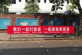 独家对话“苗苗苗”标语创作者：儿子常常播放《学猫叫》给了灵感图片