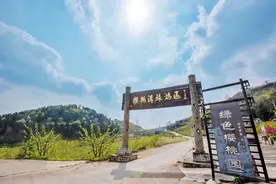 4万亩的樱桃红了，成都东部新区贾家樱桃沟邀你来敞开吃图片