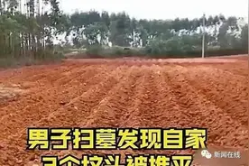 南宁一男子去扫墓，发现自家3个坟头被夷为平地，变成甘蔗种植地图片