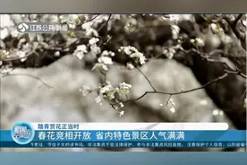 踏青赏花正当时，亲子游好去处！南京红山动物园迎上万游客视频封面