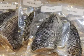 改名“海南鲷”出口转内销，海南罗非鱼能否游出一片天？图片