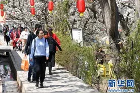 梨园花开引客来图片