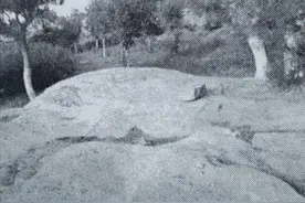 营里蛤蟆石图片