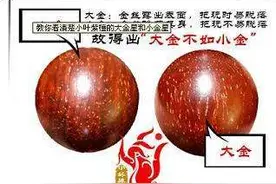 教你识“珠”：生于贫瘠之地，养分供给不足，形成小叶紫檀“小金星”图片