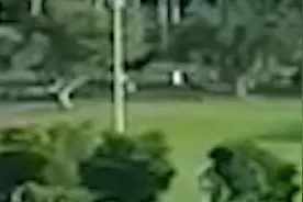 两部门：支持国内知名高校在海南建立国际学院视频封面