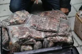 非法狩猎36万余只珍贵鸟类受严惩，广安市公安局侦破一起特大非法狩猎案件图片